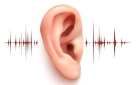 Prevent Hearing loss course